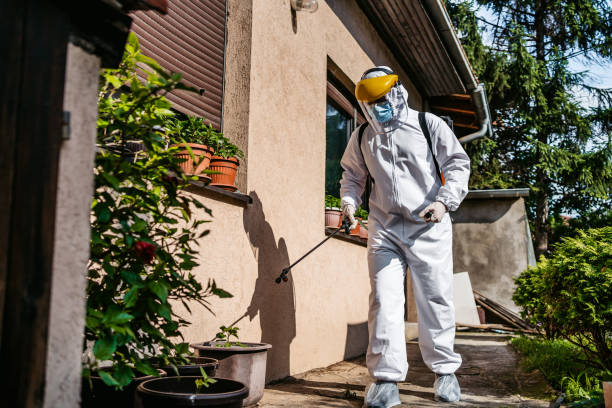Best Residential Pest Control  in Weston, WI