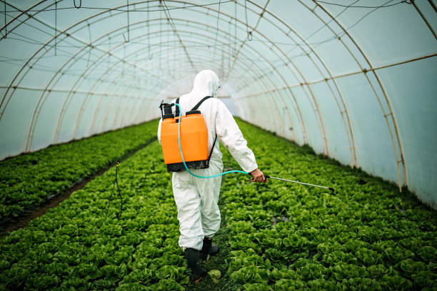 Pest Control Cost in Weston, WI