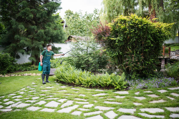 Best Exterminator Services  in Weston, WI
