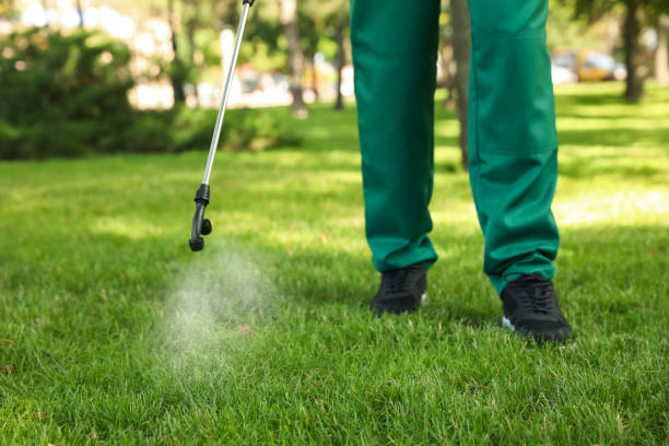 Best Commercial Pest Control Services  in Weston, WI