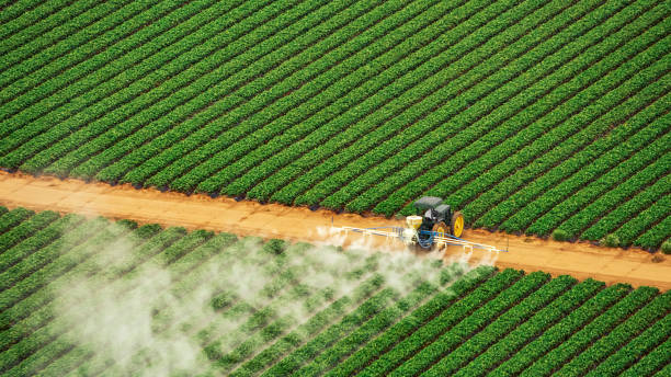 Best Pest Removal Services  in Weston, WI