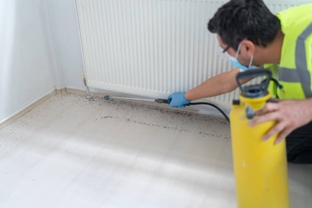 Best Local Pest Control Services  in Weston, WI