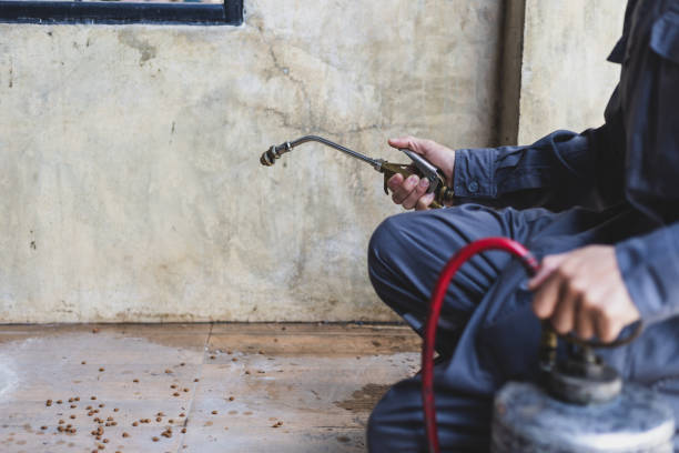 Best Pest Prevention Services  in Weston, WI
