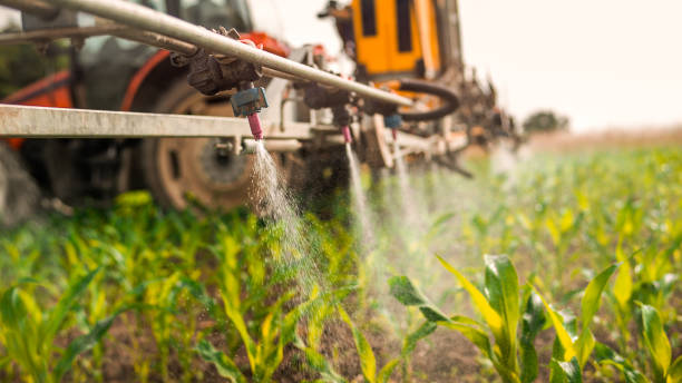 Best Pest Control Cost  in Weston, WI
